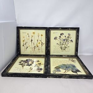Creative Co-op Set Of 4 Beautifully Handcrafted  Floral Manuscripts Of Flowers